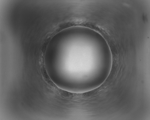 X0000075411349200609151836