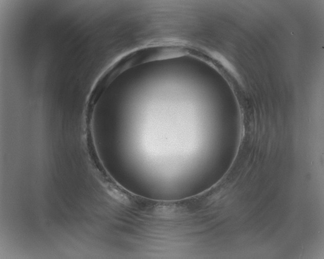 X0000075411364200609151836