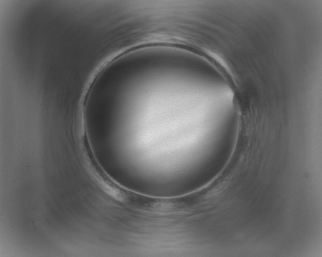 X0000075411371200609151836
