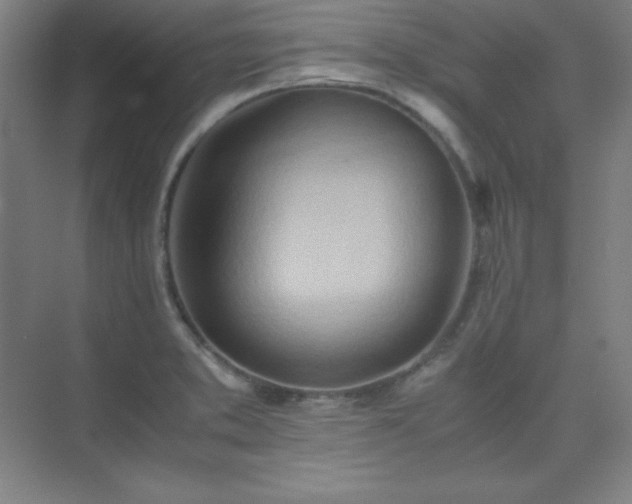 X0000075411373200609151836