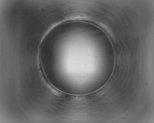 X0000075411374200609151836
