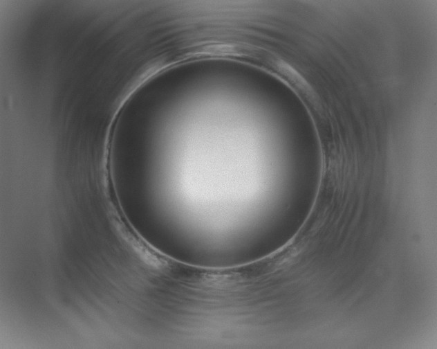 X0000075411378200609151836
