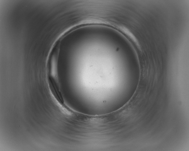 X0000075411380200609151836