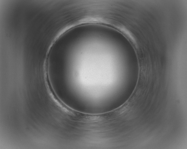 X0000075411382200609151836