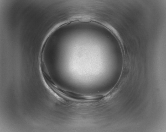 X0000075411389200609151836
