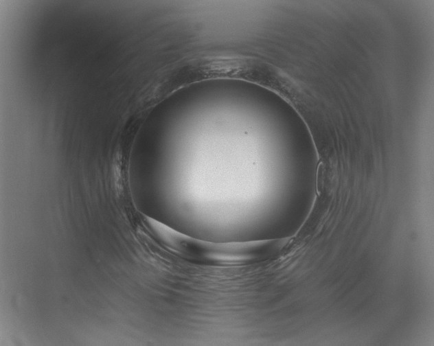 X0000075411394200609151835