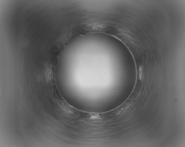 X0000075411395200609151835