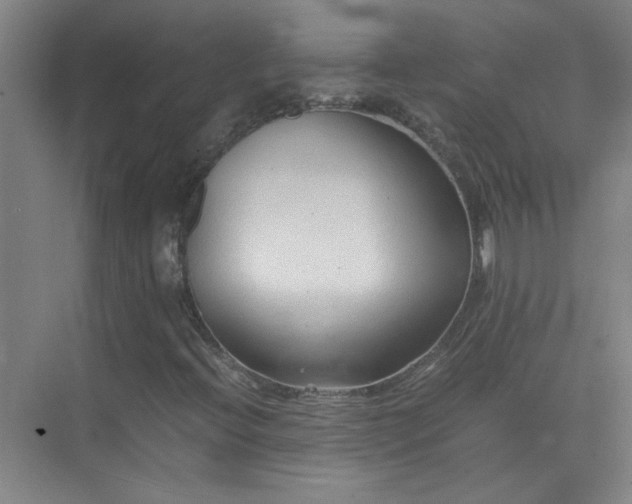 X0000075411396200609151835