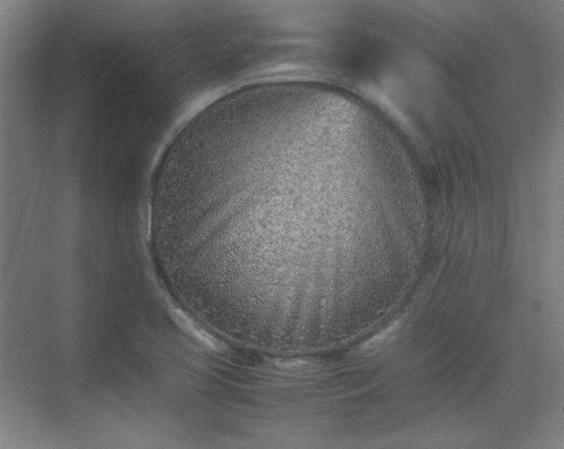 X0000075411413200609151835