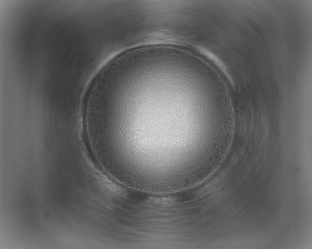 X0000075411415200609151835