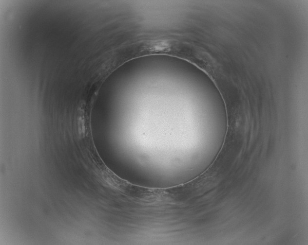 X0000075411442200609151835