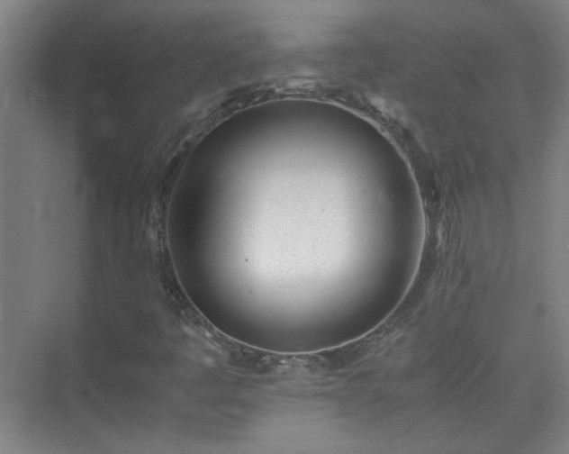X0000075411445200609151835