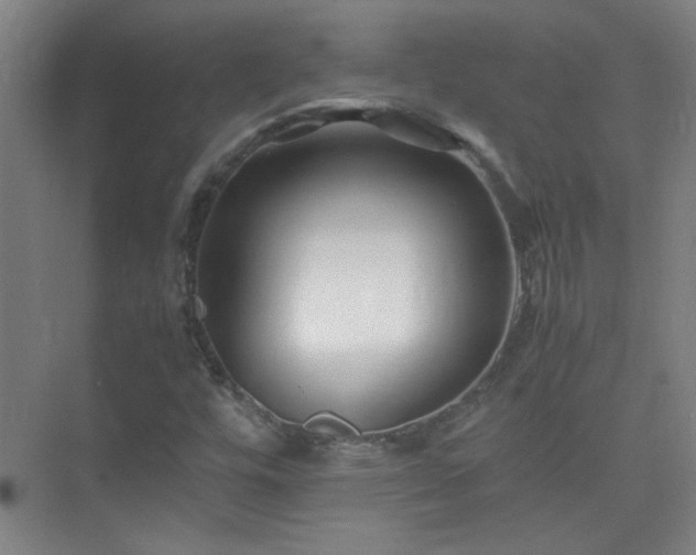 X0000075411448200609151835
