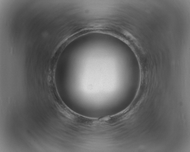 X0000075411449200609151834
