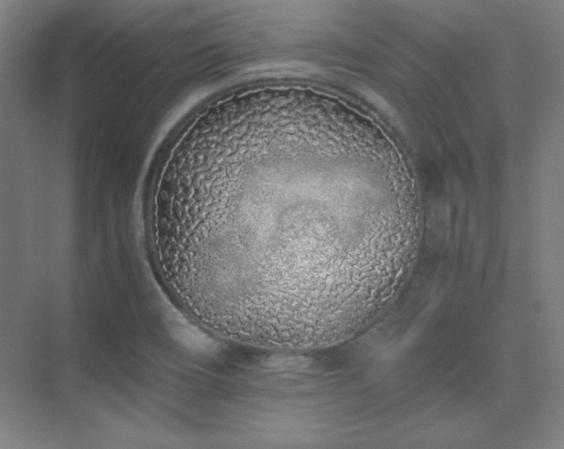 X0000075411466200609151834