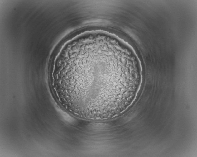 X0000075411474200609151834