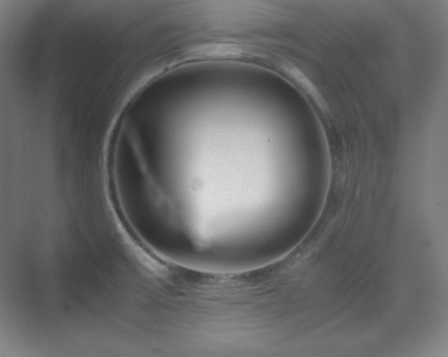 X0000075411475200609151834
