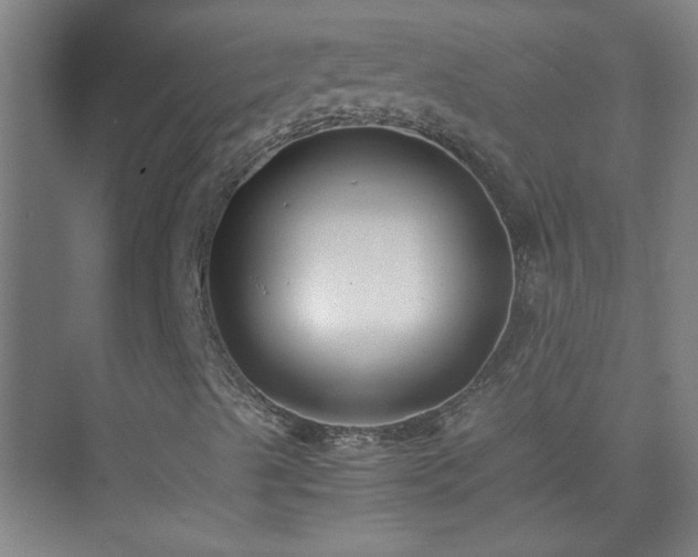 X0000075411489200609151833