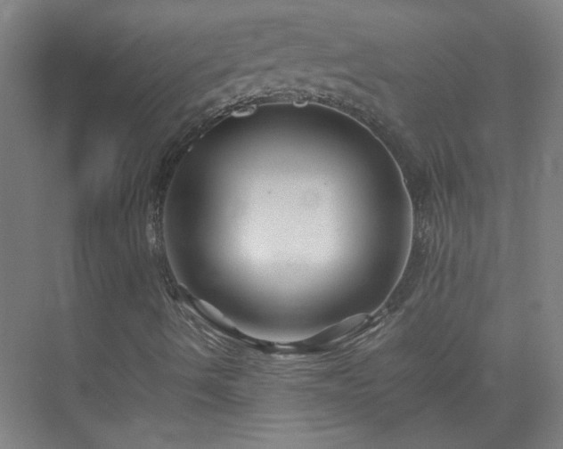 X0000075411490200609151833
