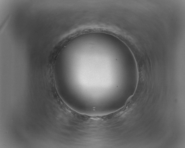 X0000075411494200609151833