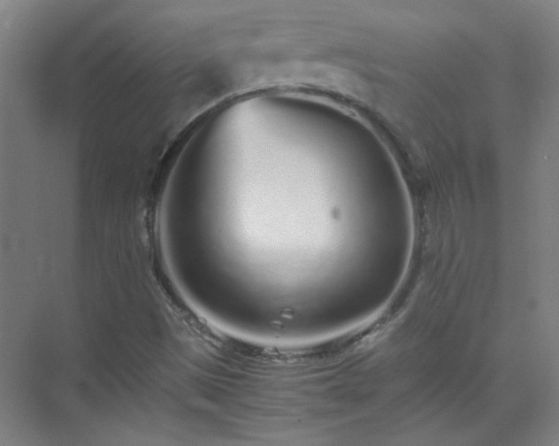 X0000075411497200609151833