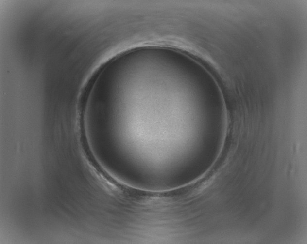 X0000075411506200609151833