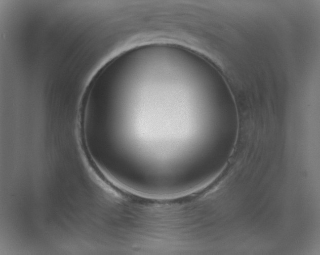 X0000075411518200609151834