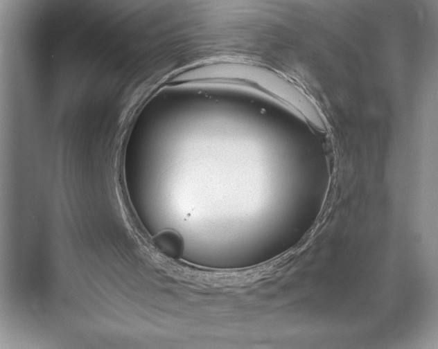 X0000075410001200609251056