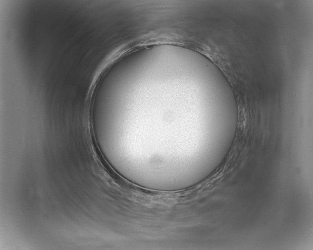 X0000075410004200609251056