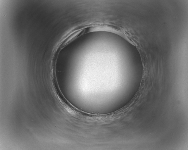 X0000075410005200609251056