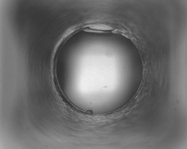 X0000075410006200609251056