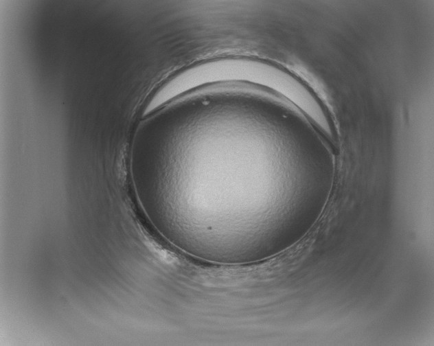 X0000075410009200609251056