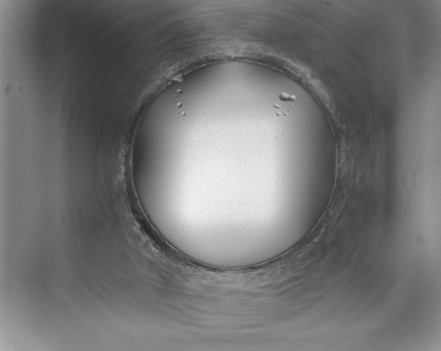 X0000075410010200609251056