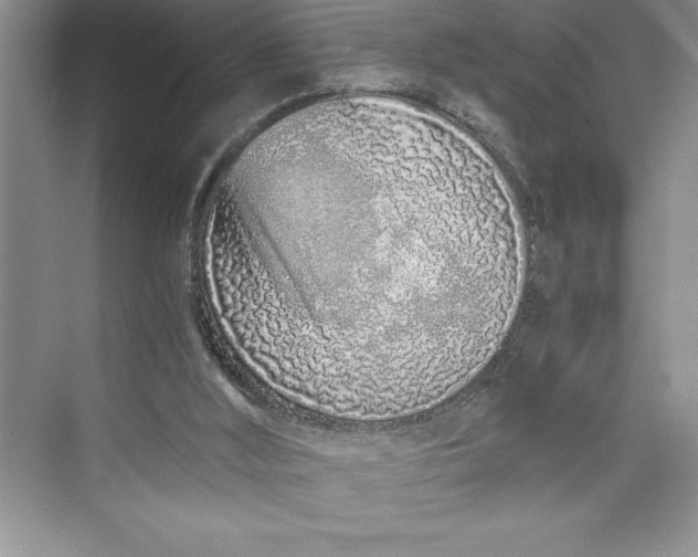 X0000075410012200609251056