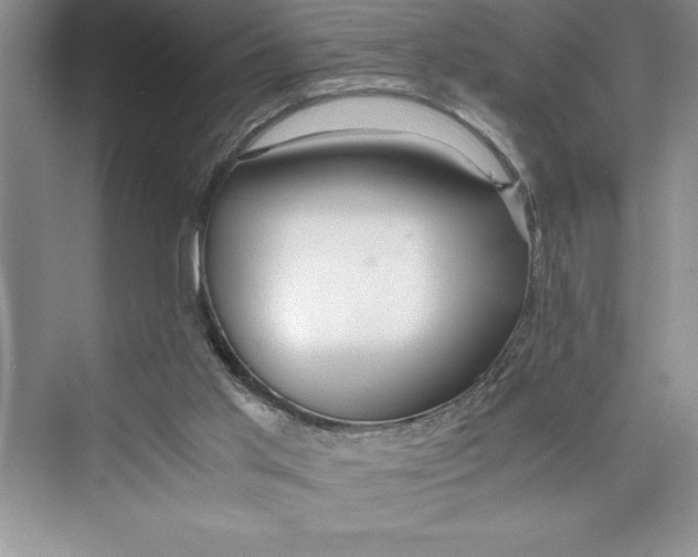 X0000075410013200609251056