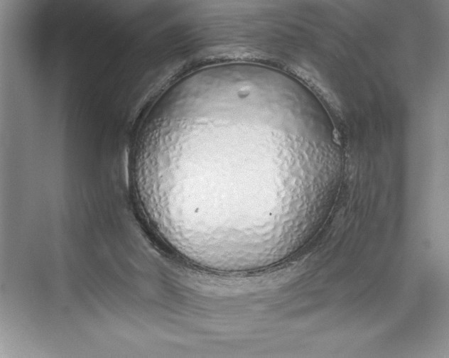 X0000075410014200609251056