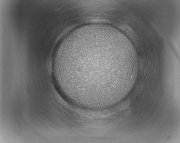 X0000075410016200609251056