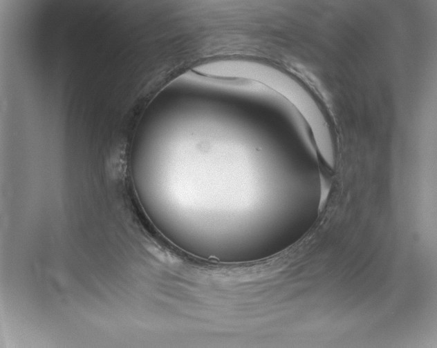 X0000075410017200609251056