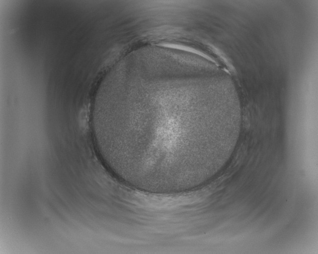 X0000075410018200609251056