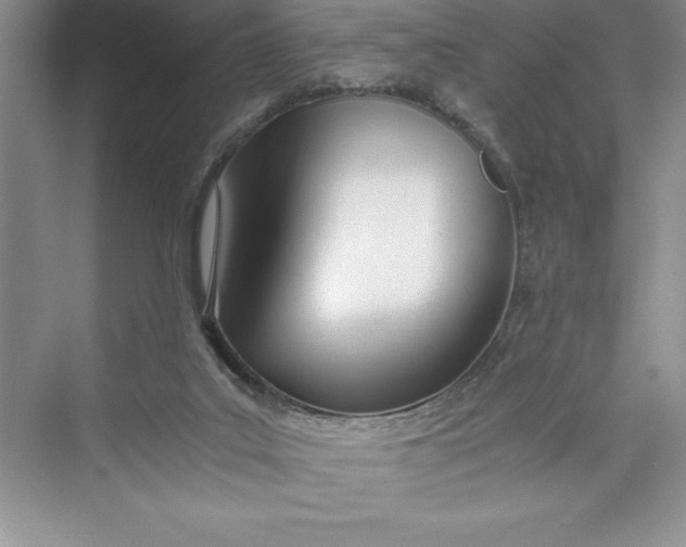 X0000075410019200609251056