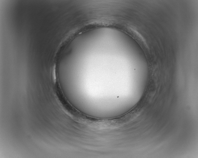 X0000075410020200609251056