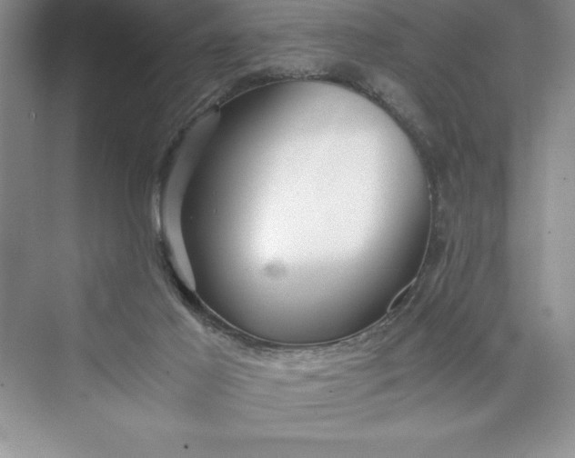 X0000075410021200609251056