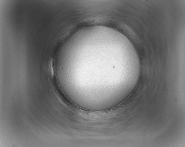 X0000075410022200609251056