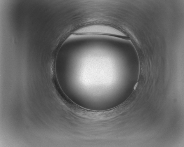 X0000075410023200609251056