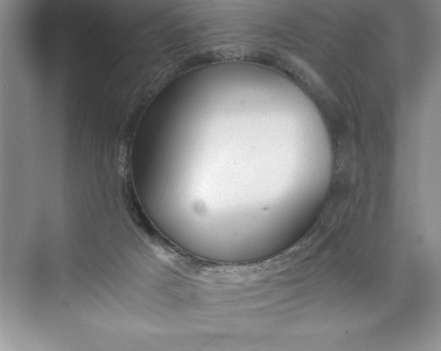 X0000075410025200609251056