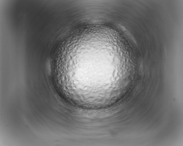 X0000075410026200609251056