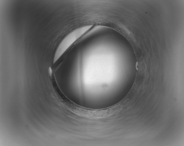 X0000075410027200609251056