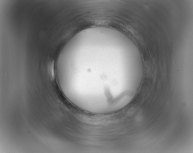 X0000075410028200609251056