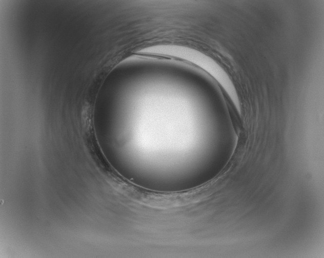 X0000075410029200609251056