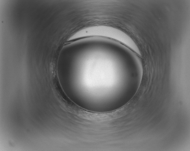 X0000075410031200609251056